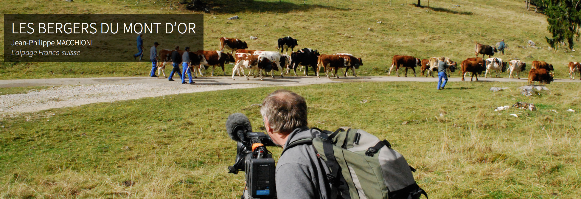 Audiovisuelle Übersetzung für Vie des Hauts Production